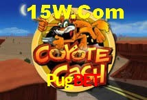 Crash Games Statistics Pugbet