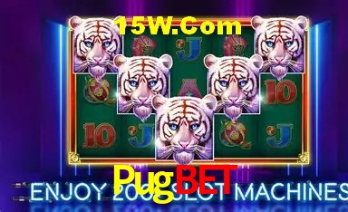 A Experiência Imersiva dos Cassinos Ao Vivo no Pugbet